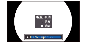 GY-LS300 VSM_Setting1
